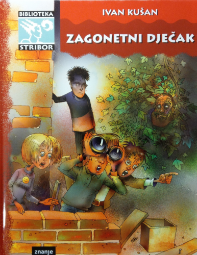 Zagonetni dječak